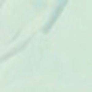 Meet your Posher, Louise